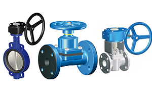 Metallic Valves