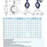 Comeval - Butterfly Valve (2)