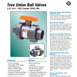 Hayward-Ball Valve (2)