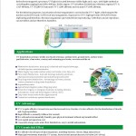 Konche - UV sterilizer-01